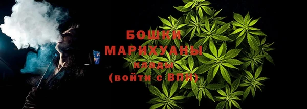 трава Иннополис