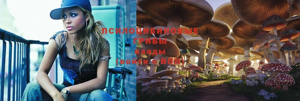 трава Иннополис