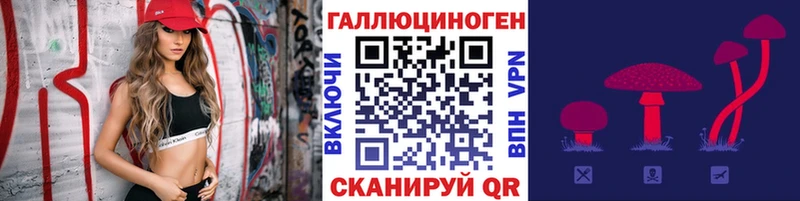 Галлюциногенные грибы Psilocybe Канск