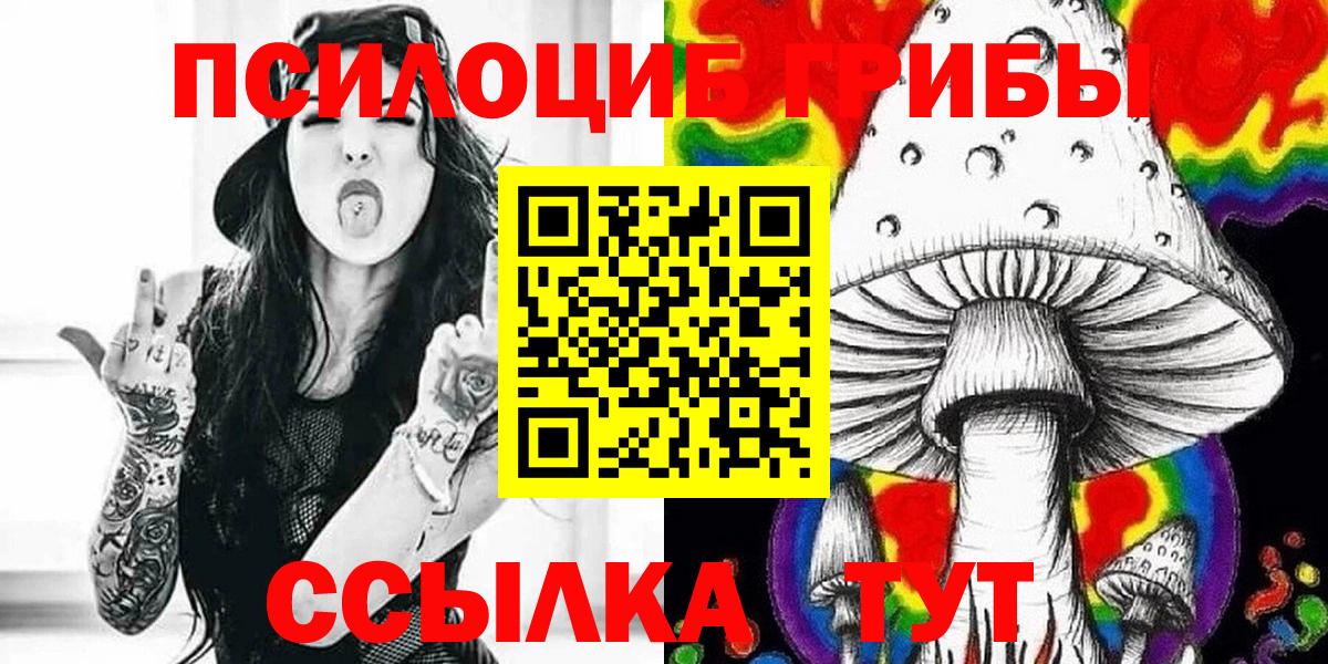 цена   Вход с VPN  Канск  Псилоцибиновые грибы мицелий 